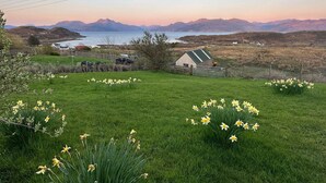 A rural landscape with a grassy field, daffodils, a small house, and a body of water in the distance. - Solas (Sleat)