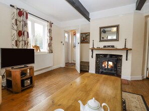 تلفزيون، مشغل دي في دي