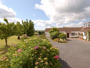 Cottage | Interior - Little Waycroft (Dawlish)