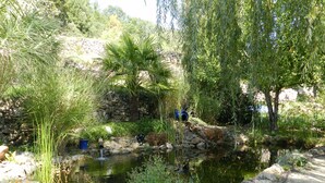 Garden - Le Mas des Sources (Saint-Sebastien-d'Aigrefeuille)