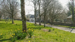 A rural setting with a white house, a stone wall, and a grassy area with daffodils.