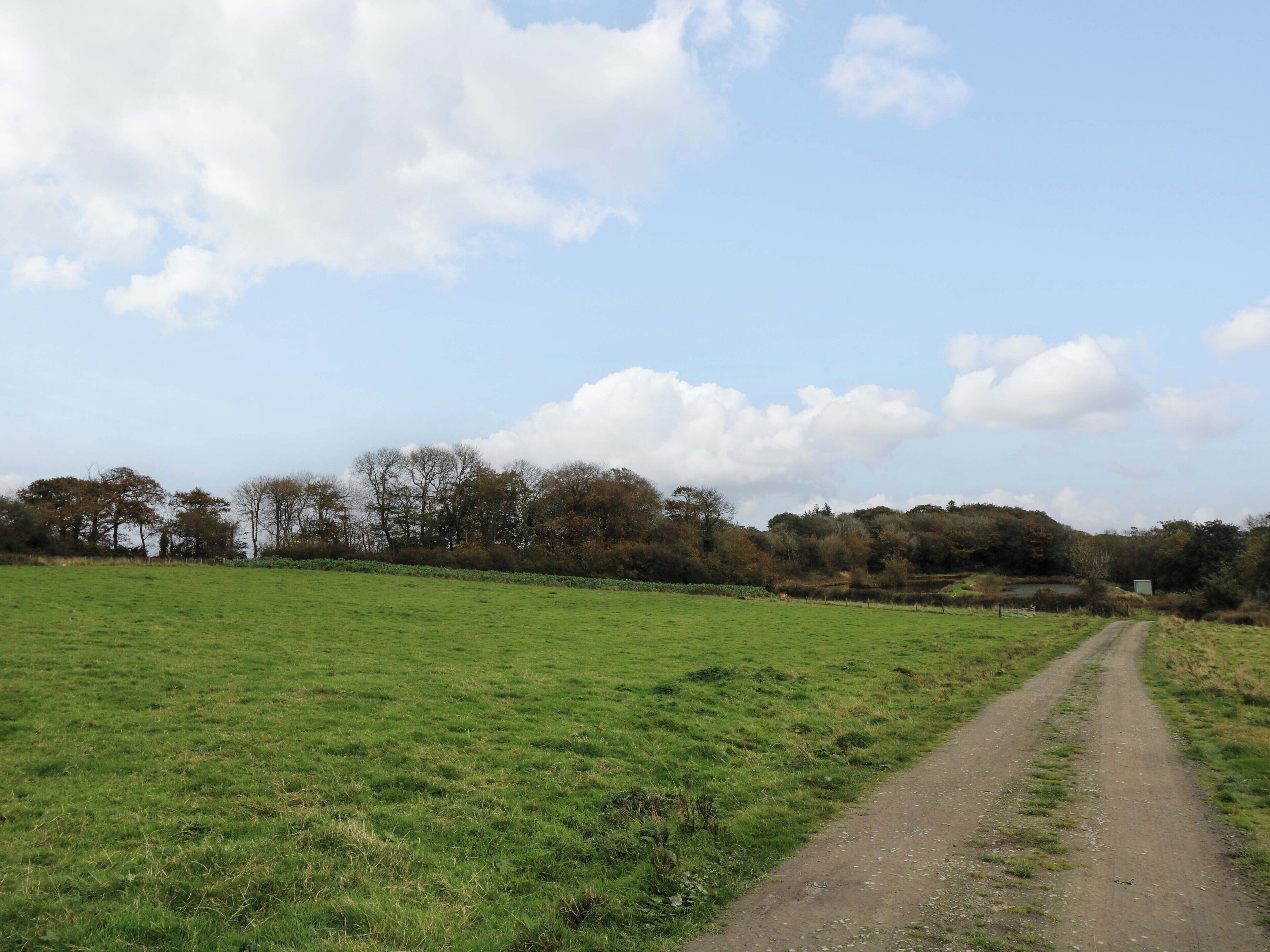 A rural dirt road leading through a green field with trees in the background.
