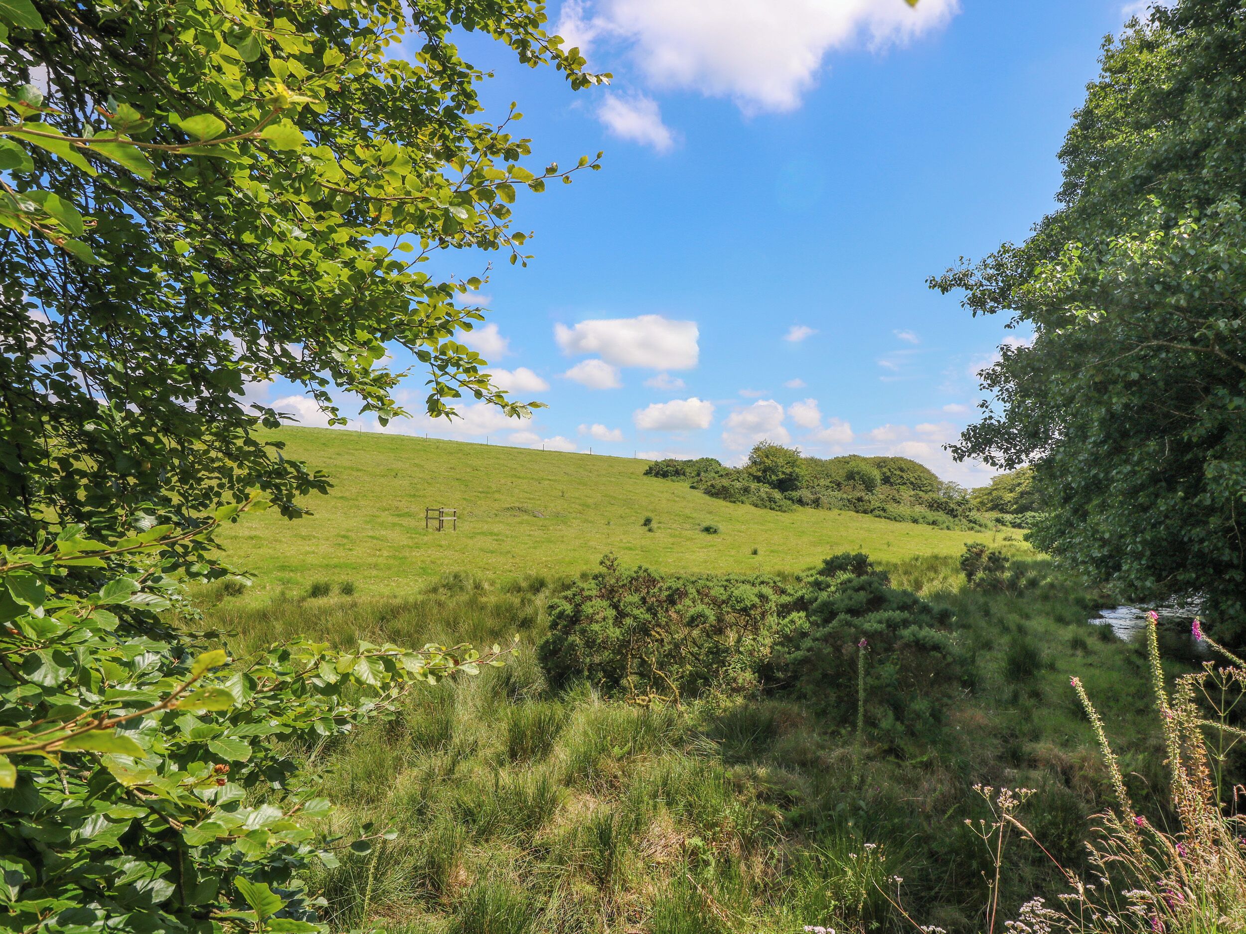 A grassy hillside with a bench and a river in the background.