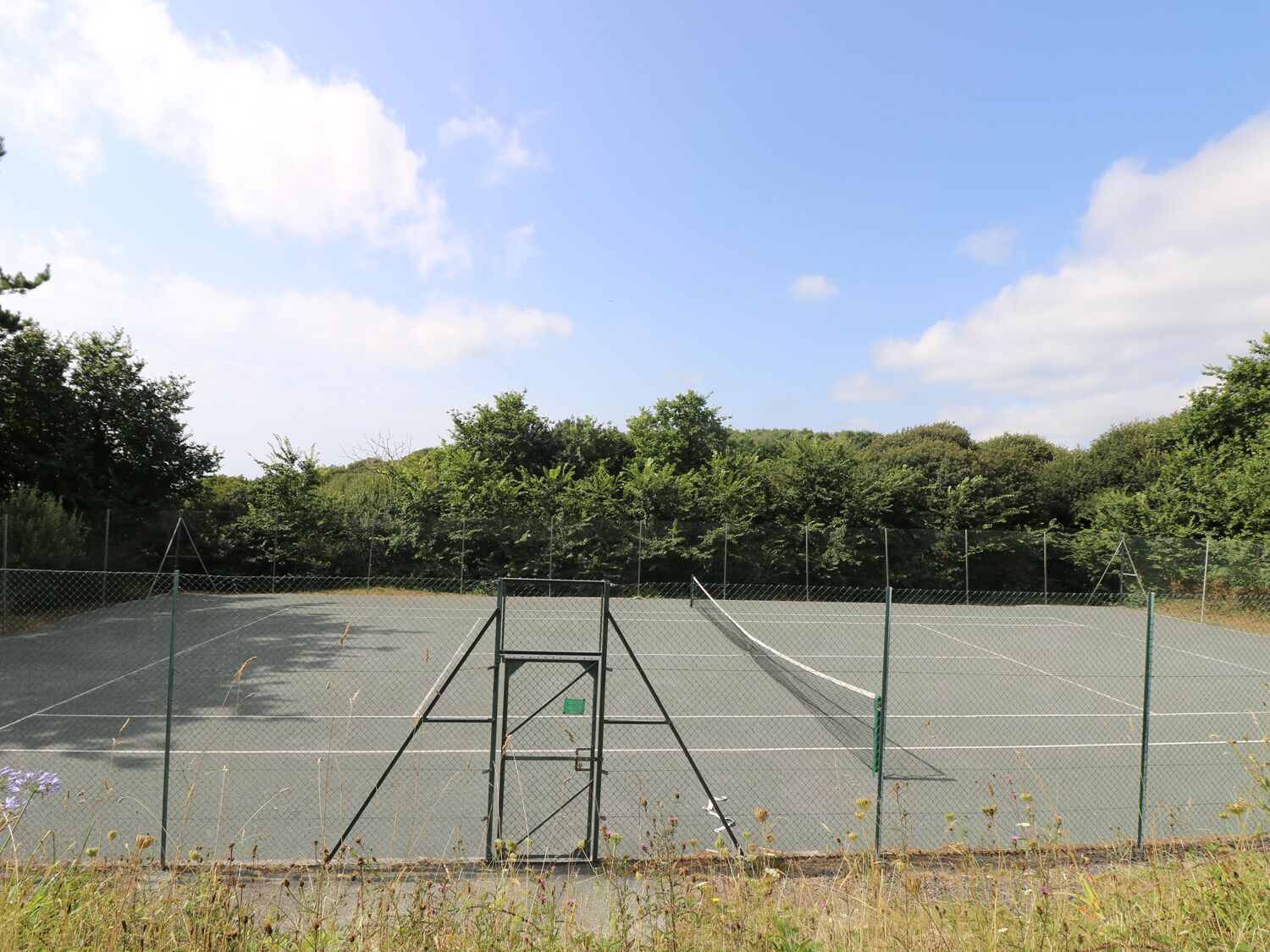 Una cancha de tenis al aire libre con valla metálica, rodeada de árboles y vegetación.