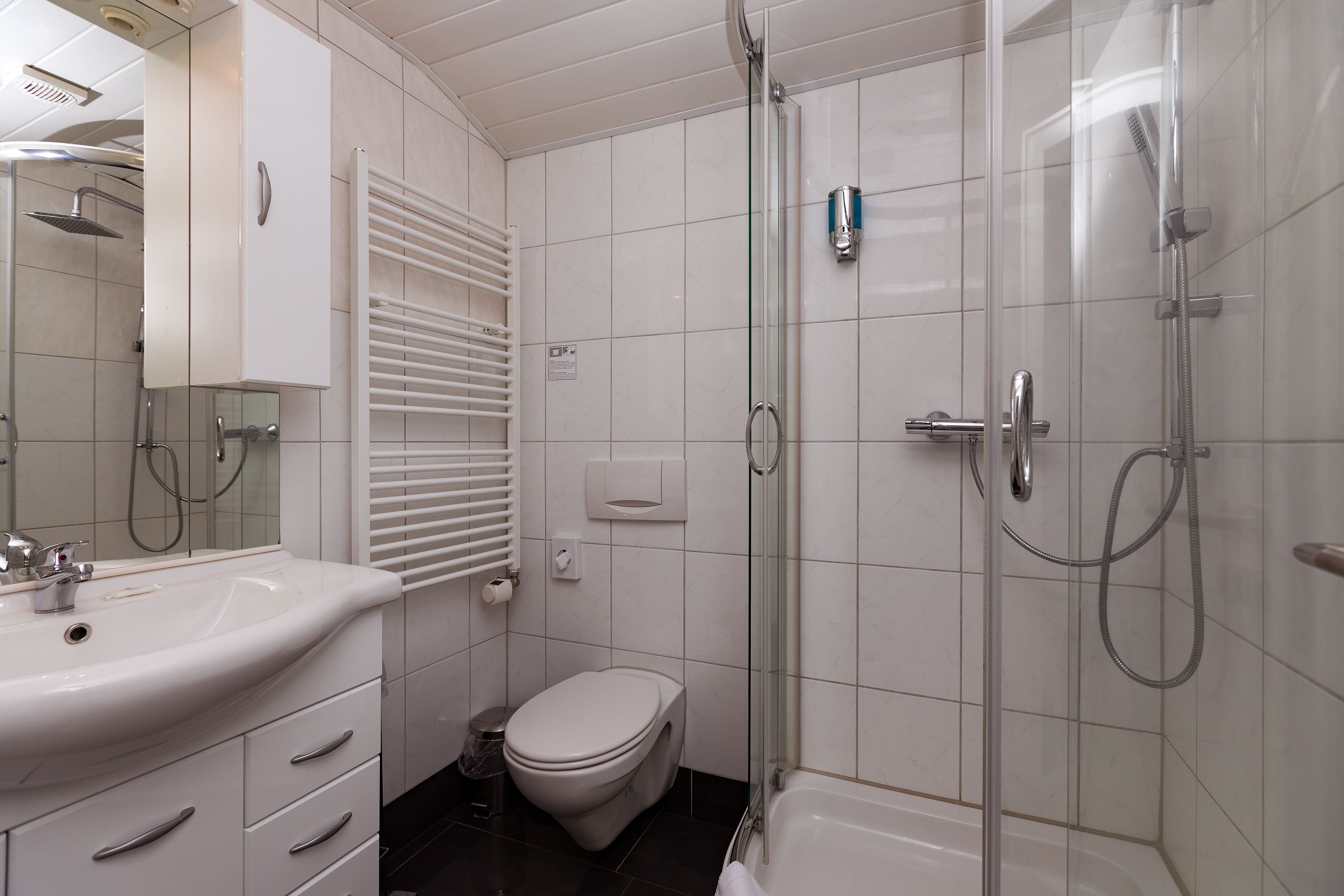 Ein modernes Badezimmer mit einer Duschkabine, einem weißen Waschbecken und einer Toilette.