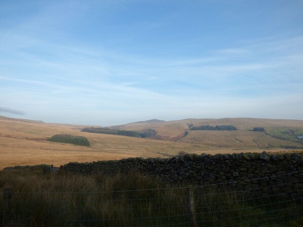 A rural landscape with rolling hills and a stone wall in the foreground. - Sunnybrook Cottage (Clitheroe)