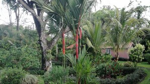 Garden - Cabañas Segura's (El Valle de Anton)