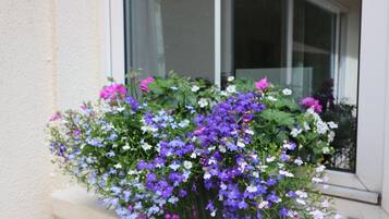 A window box with a variety of flowers.