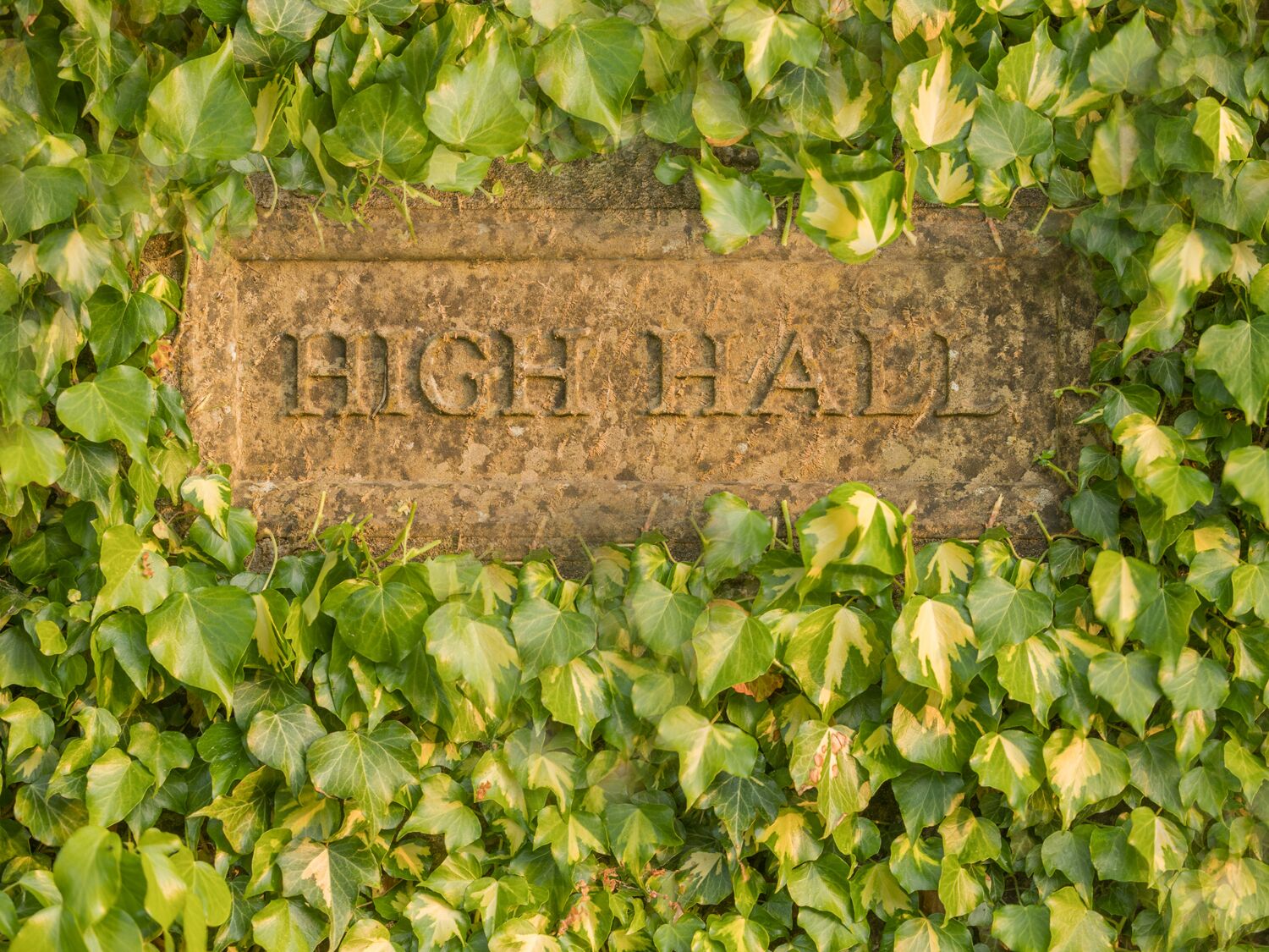 A stone plaque with the inscription "HIGH HALL" surrounded by ivy.