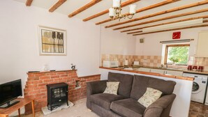 Una sala de estar con sofá, chimenea, televisión y una zona de cocina con microondas y lavadora.