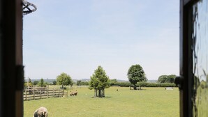 A view of a grassy field with a few trees and a wooden fence. - Rose Cottage (York)