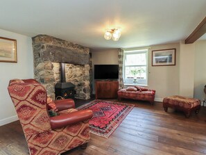 TV - Plas Mawr (Caernarfon)