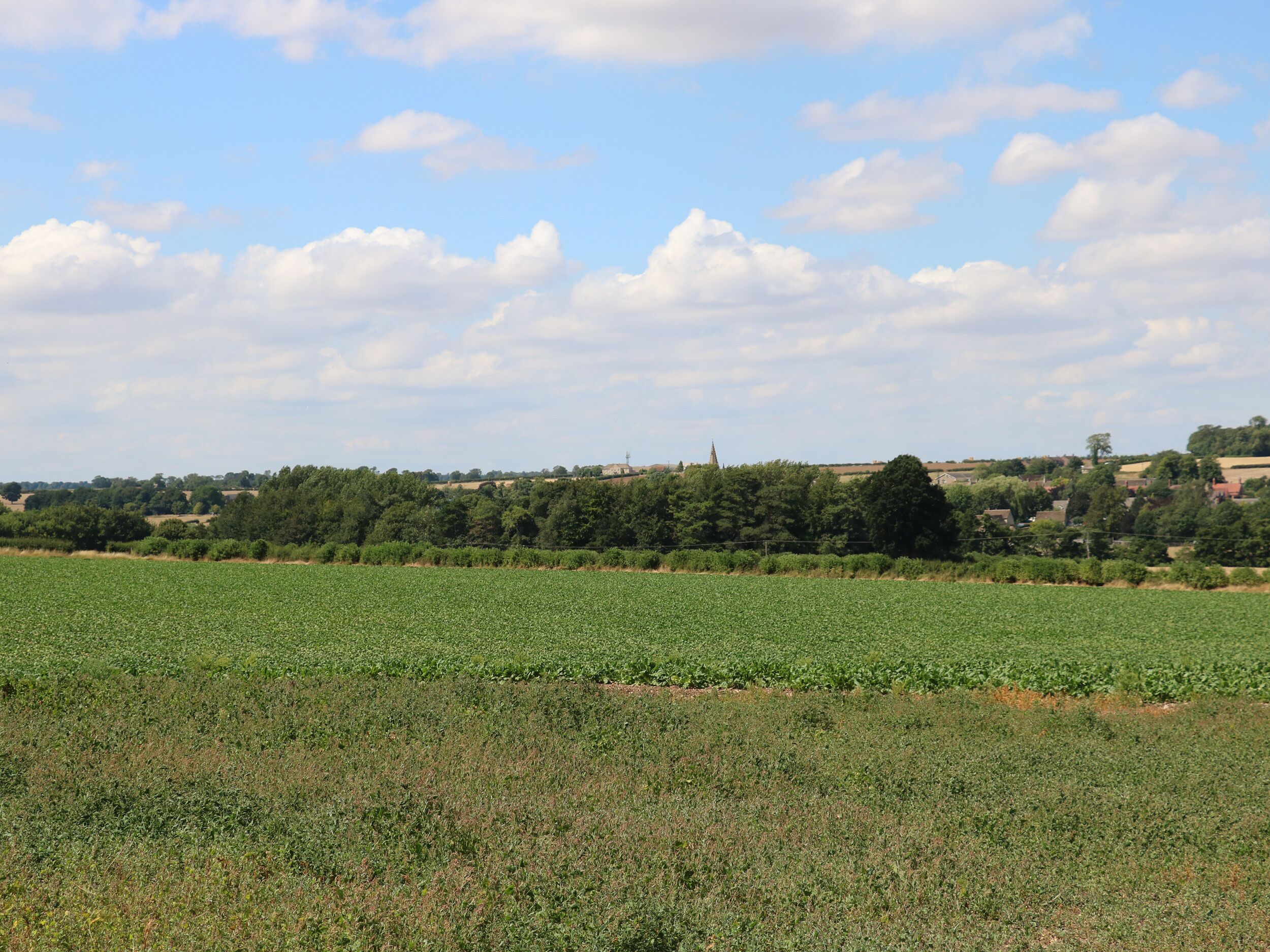A rural landscape with a field in the foreground and a village in the background.