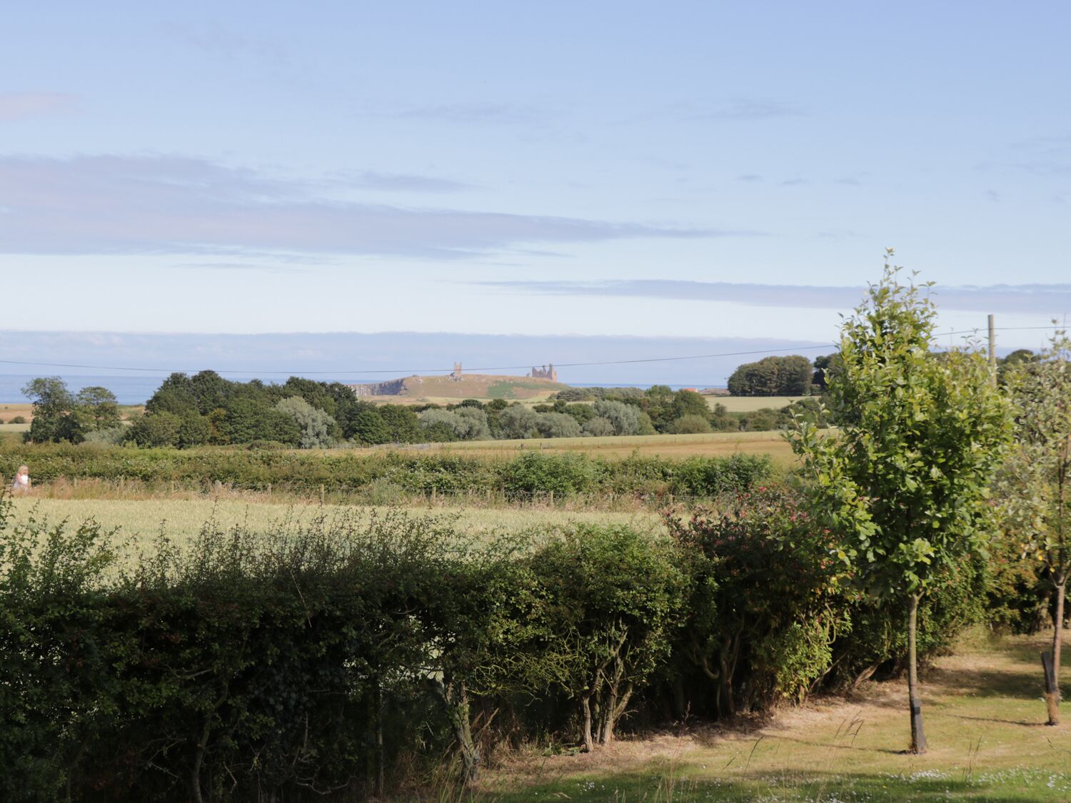 A rural landscape with fields, trees, and a distant castle-like structure.