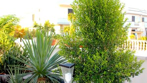 A rooftop garden with various potted plants and flowers, a street lamp, and a building in the background. - B&B Barone (Castro)