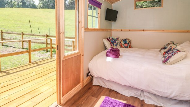 A bedroom with a wooden ceiling, a bed with colorful tiger-themed pillows, a TV on the wall, and a view of a green field through an open door. - Railway Carriage (Abergavenny)