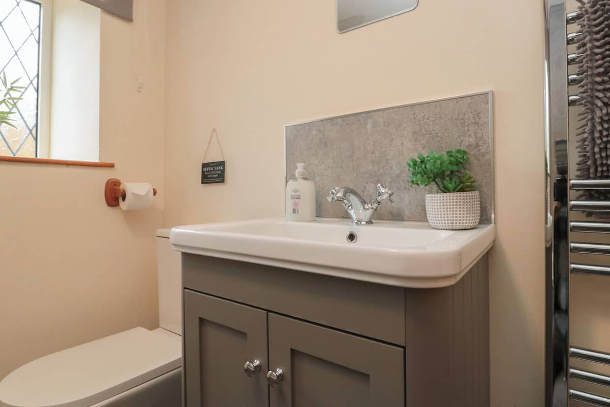 A bathroom with a toilet, sink, mirror, and a small potted plant.
