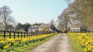 Una strada di campagna costeggiata da narcisi e edifici in pietra.