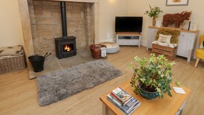 A cozy living room with a stone fireplace, a flat-screen TV, a bookshelf, and a potted plant.