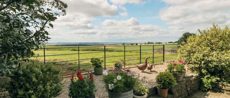 Cottage | Enceinte de l’hébergement