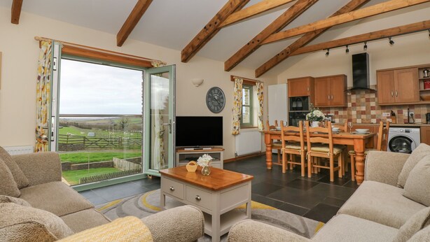 A cozy living room with a sofa, a coffee table, and a TV. There's a dining area with a table and chairs. The kitchen has wooden cabinets and a washing machine. A large window offers a view of the outdoors. - Hawthorn Cottage (Truro)