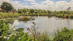 A serene pond with ducks, surrounded by lush greenery and a wooden fence. - Hawthorn Cottage (Truro)