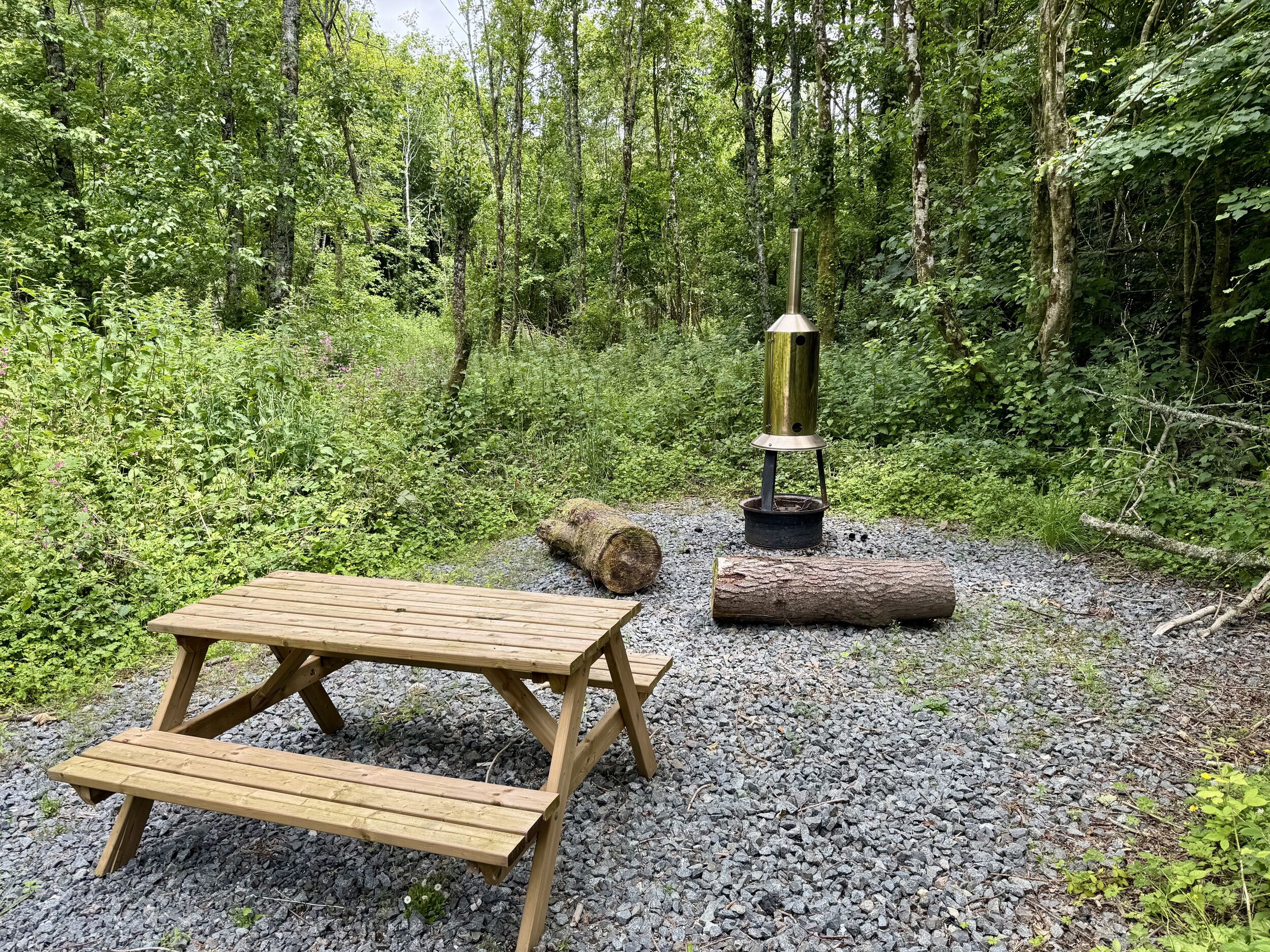 Et træbord- og picnicområde med transportabel kogeplade i et skovområde med grusbund.