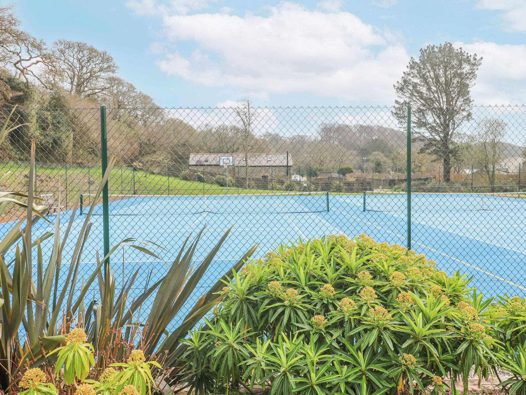 A blue tennis court surrounded by a chain-link fence, with green plants and trees in the background.