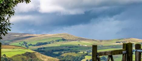 A rural landscape with rolling hills, a wooden gate, and a cloudy sky.