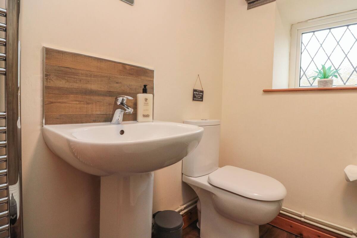 A bathroom with a white sink, a wooden panel above the sink, a toilet, a small trash bin, and a window with a plant.