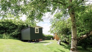 A small, green wooden structure with a window, situated in a grassy area with trees and a stone path. - Orchard (Wadebridge)