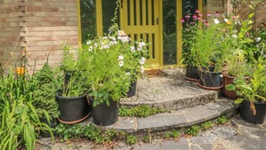 A brick building with a yellow door and a sign reading "Woodpeckers". - Little Yaffle (Dover)
