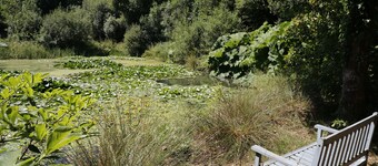 Jane's Place