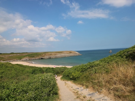 Interior. No. 2 New Cottages