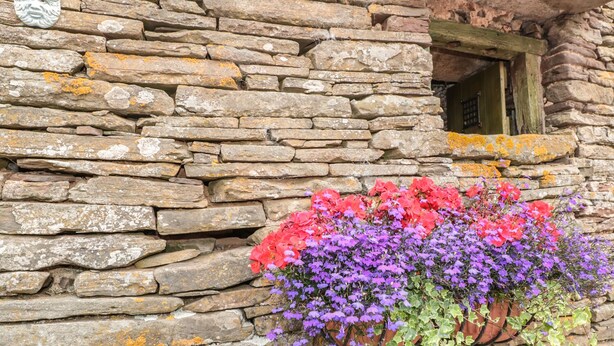 A stone wall with a window and a flower box with purple and pink flowers. - The Cow Cott (Hereford)