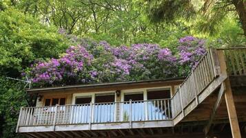 Casa de campo | Interior