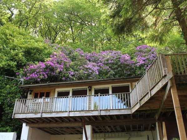 Cottage | Intérieur