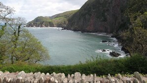 A coastal landscape with a stone wall in the foreground and a view of the sea and cliffs. - Treetops (Barnstaple)