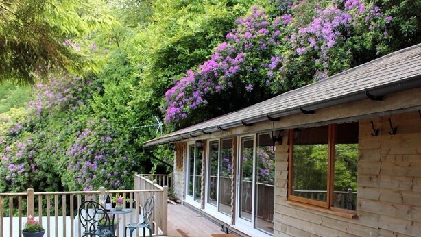 A wooden cabin with a covered porch, a table with chairs, and a view of purple flowers and greenery. - Treetops (Barnstaple)