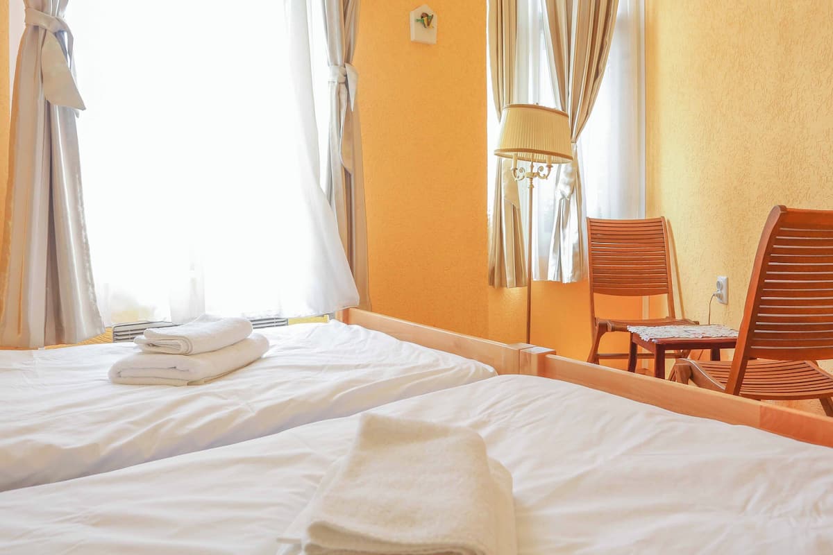 classic double or twin room, shared bathroom, city view | 1 bedroom, soundproofing, iron/ironing board, free wifi