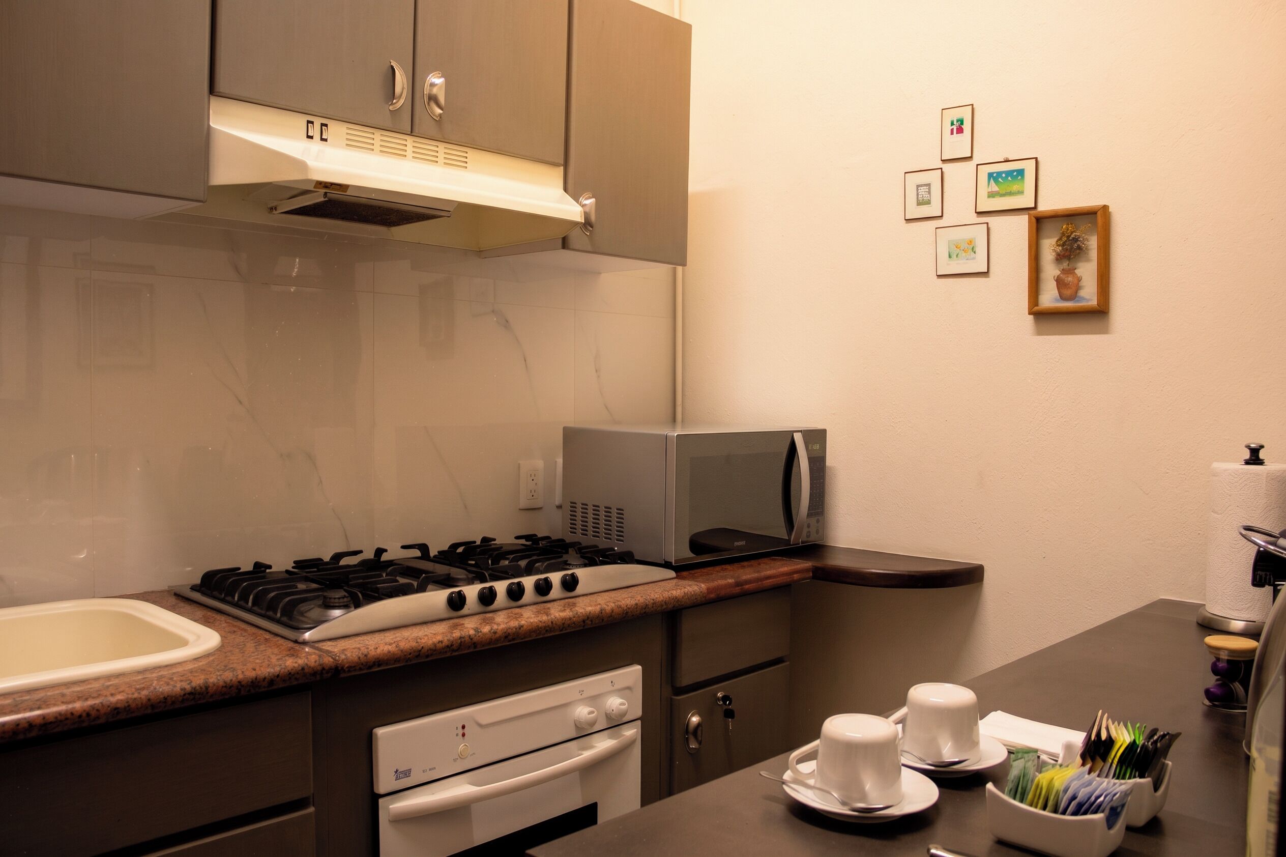 Una cocina con estufa a gas, microondas, horno y pileta. Se observan cuadros en la pared.