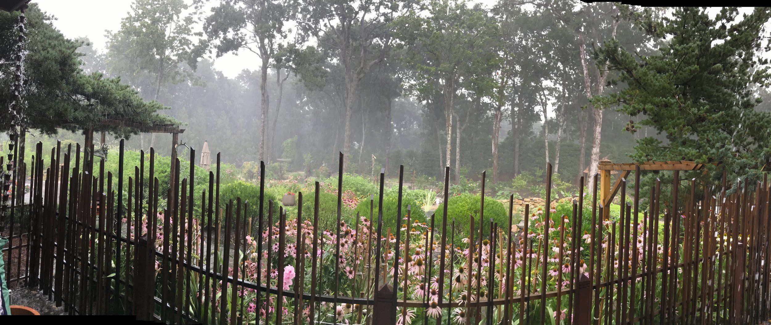 Un jardín con valla de madera, diversas plantas y árboles al fondo.