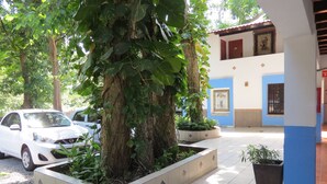 Un patio con un coche blanco estacionado cerca de un árbol, rodeado de suelo de baldosas y plantas en macetas.