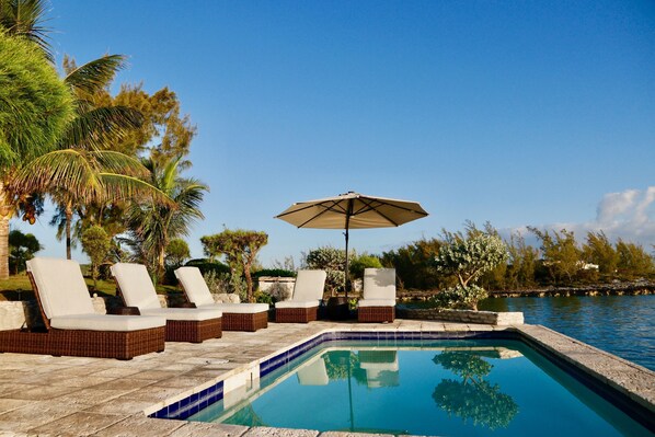 Outdoor pool, pool umbrellas, pool loungers