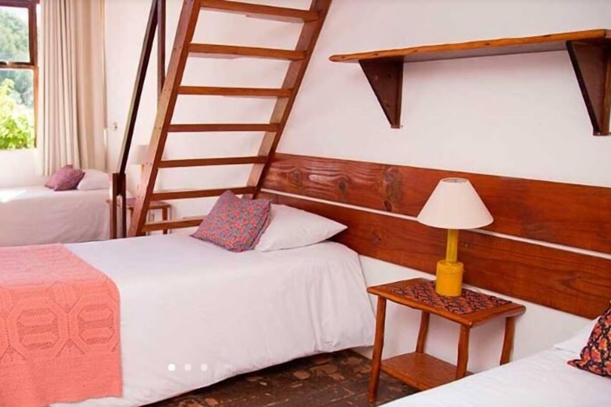 A room with two beds, a wooden ladder, a small table with a lamp, and a window with a view of greenery.