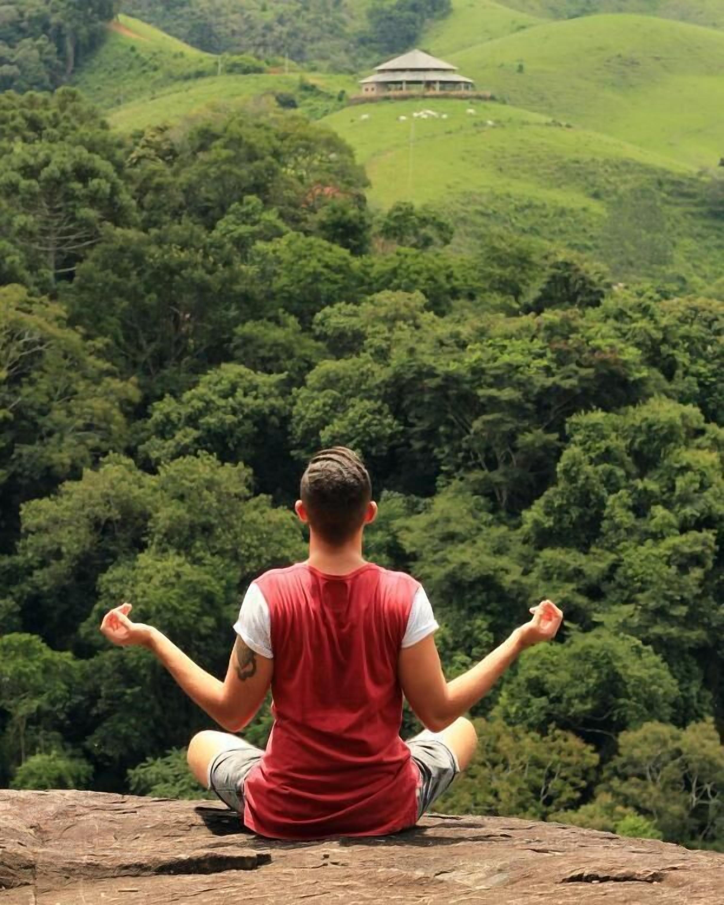 A person sitting cross-legged on a rock with a lush green landscape in the background.