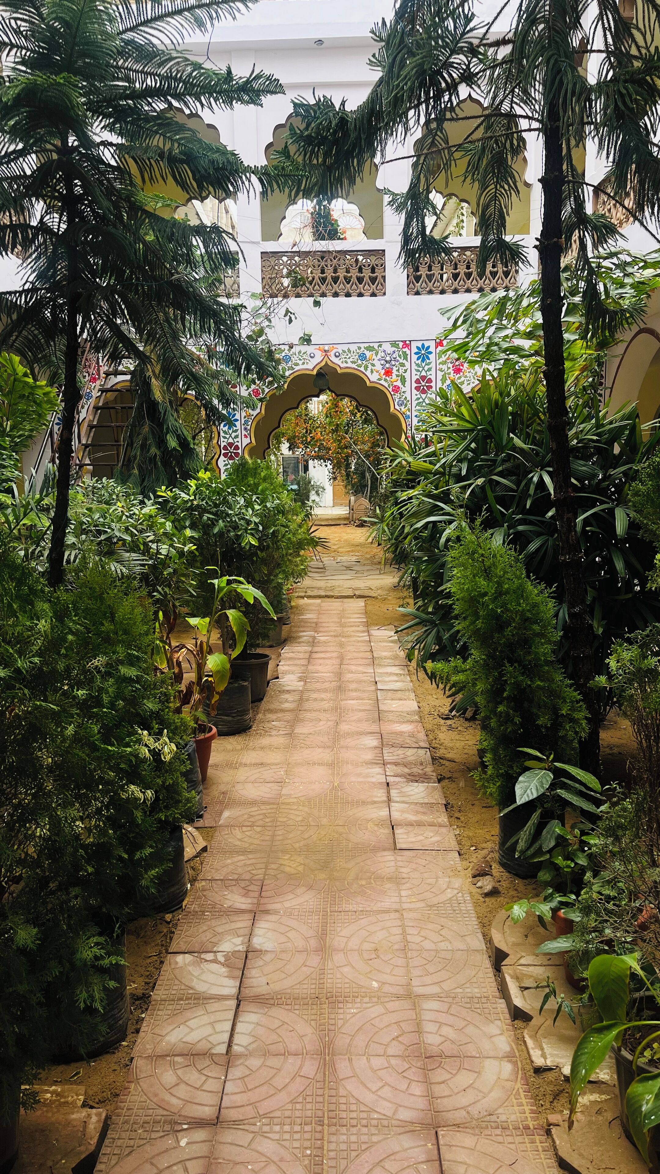 Un sendero bordeado de plantas en macetas que conduce a un arco decorativo.