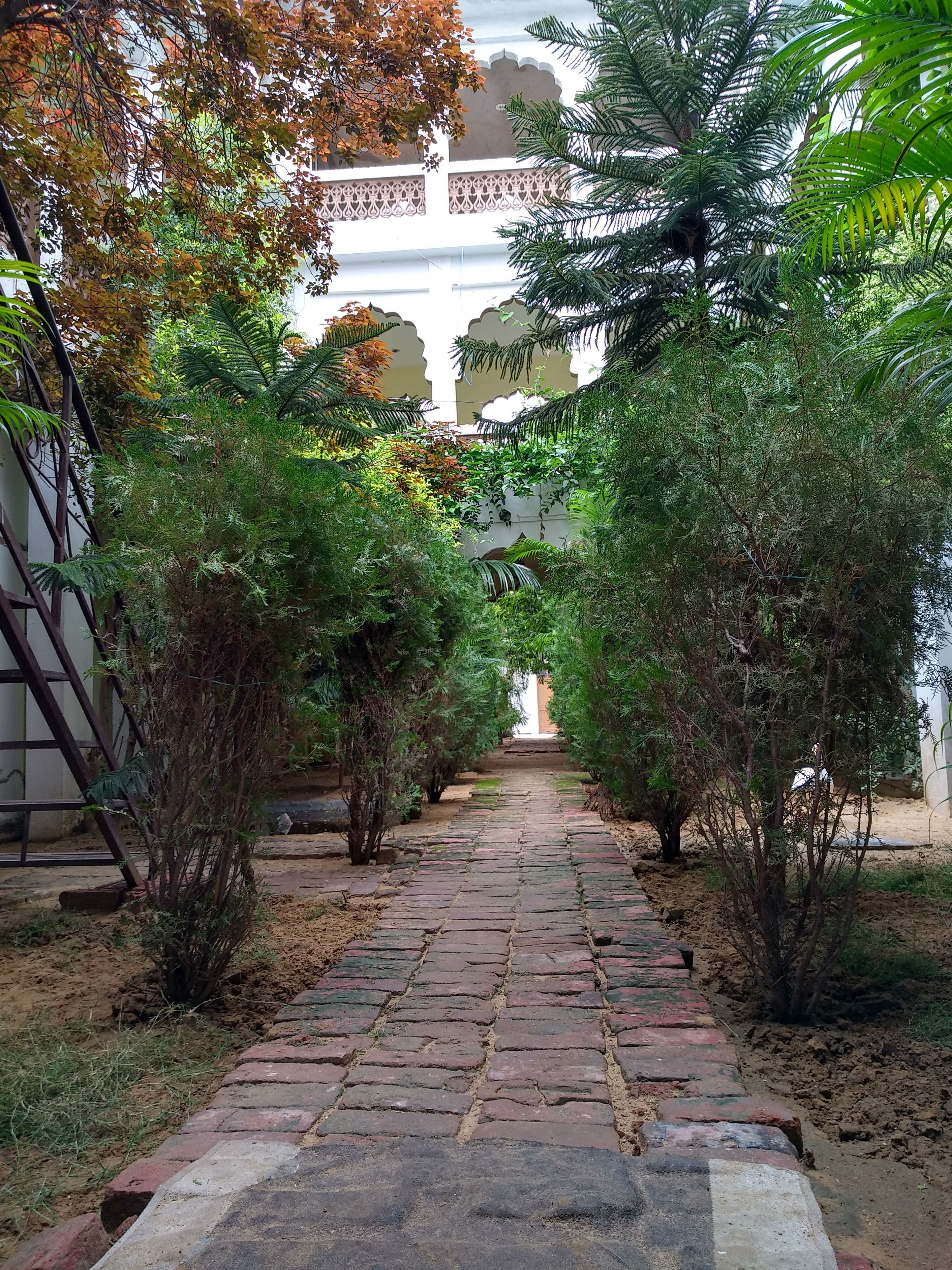A stone pathway flanked by dense foliage leading to a building with ornate white walls and arches.