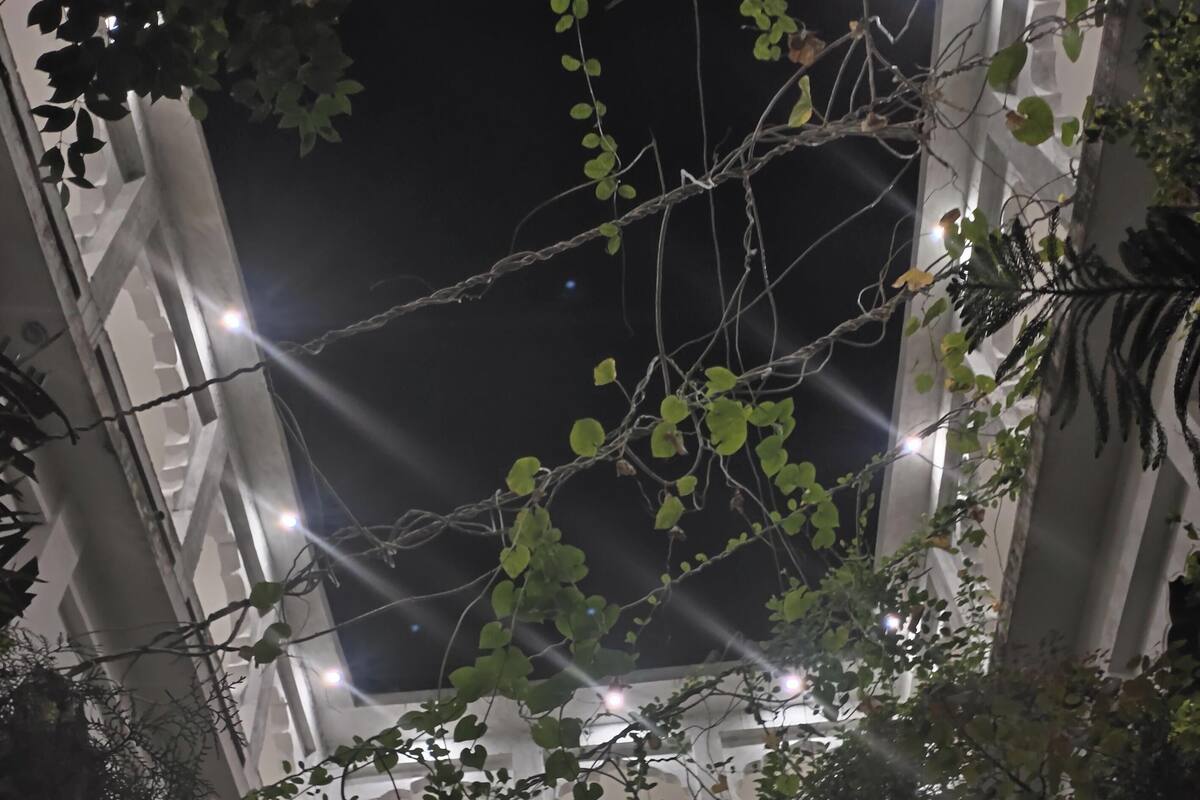 Vista nocturna de un edificio con múltiples ventanas iluminadas y abundante follaje verde en primer plano.