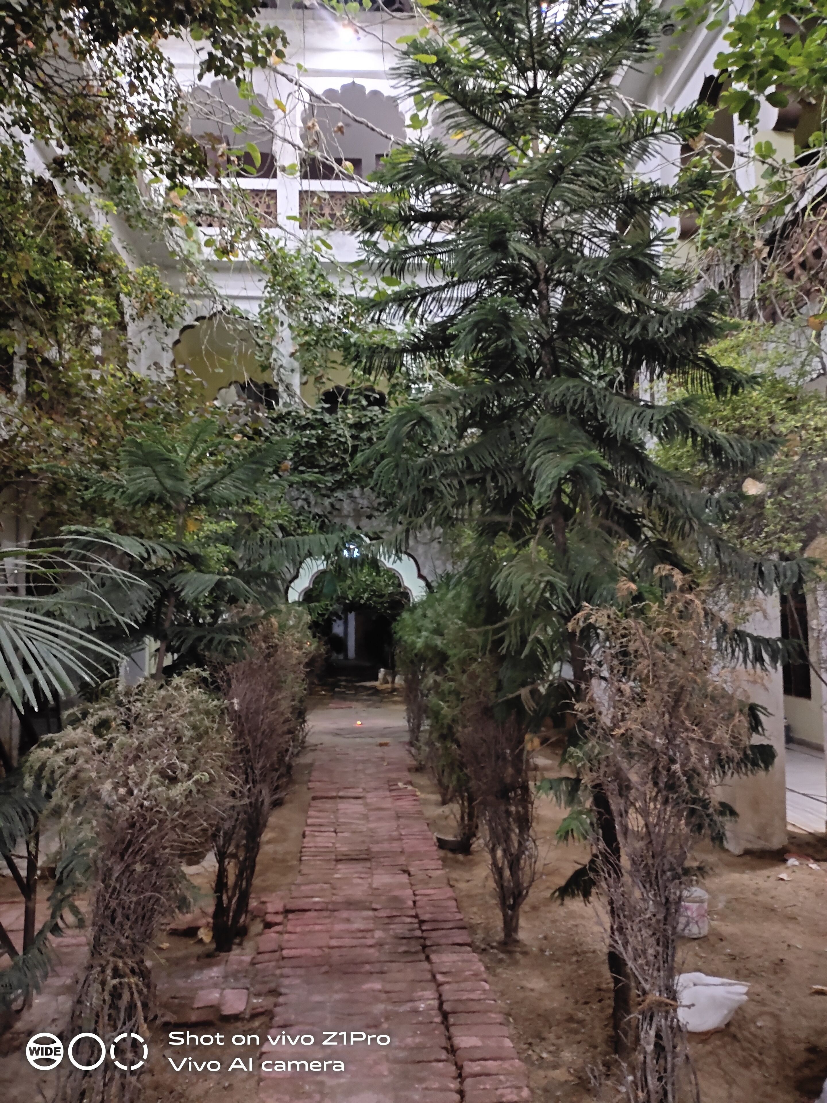 A narrow brick pathway flanked by dense foliage and a white building with arches.